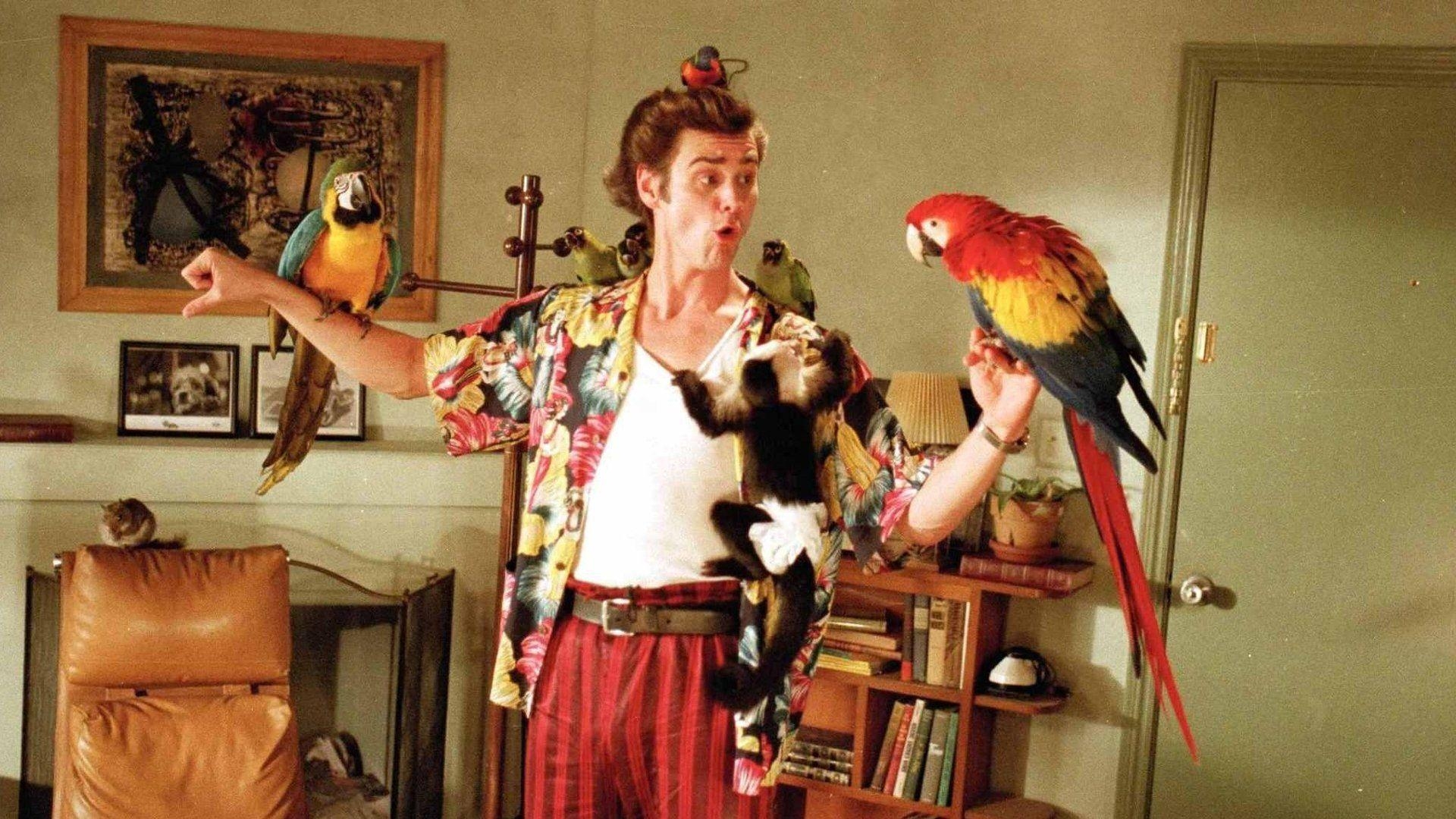 Ace Ventura, Jim Carrey, Pet Detective, HD Bild, Film, 1920x1080 Full HD Desktop