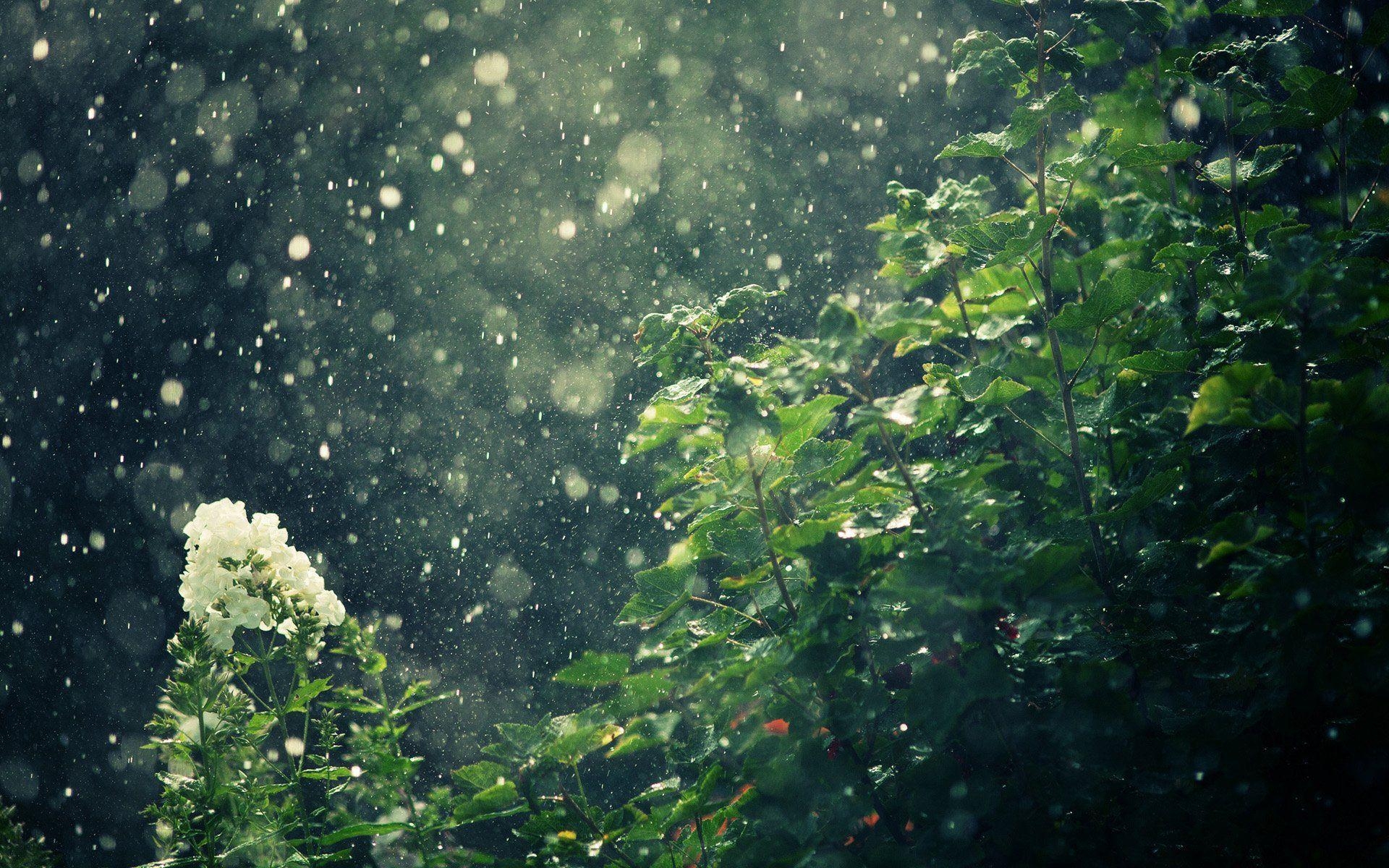 Regen, HD, Natur, Wetter, Hintergrundbild, 1920x1200 HD Desktop