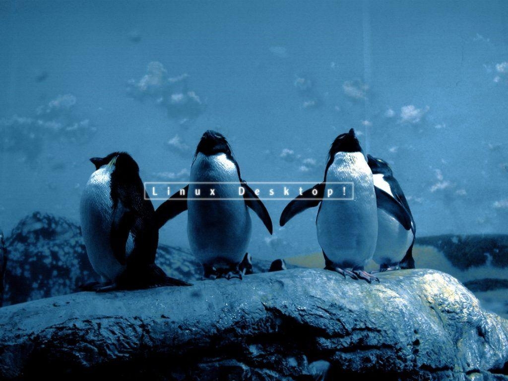 Pinguin, Linux, Tierbild, HD, Computerkunst, 1030x770 HD Desktop