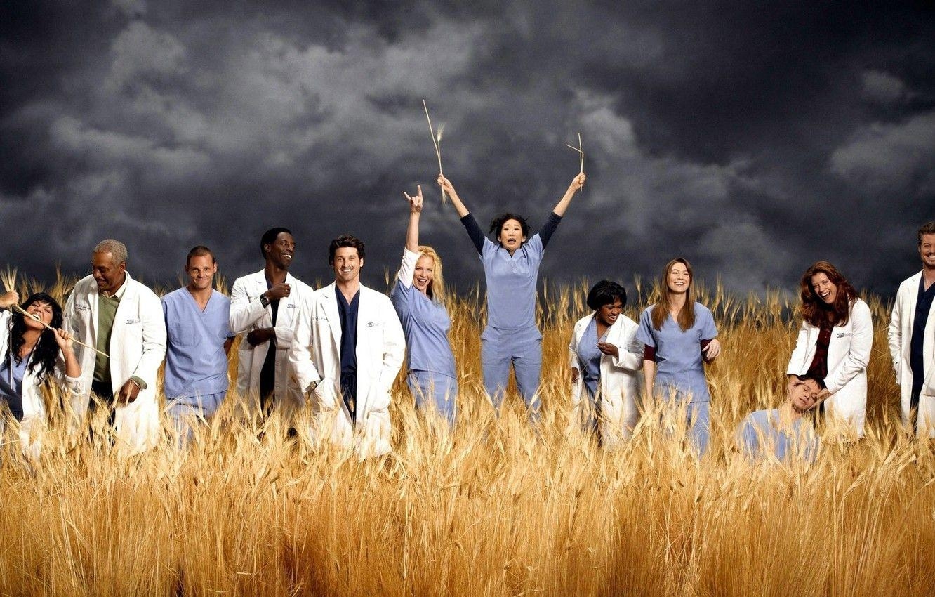 Grey's Anatomy, Katherine Heigl, Schauspieler, Freude, Serie, 1340x850 HD Desktop