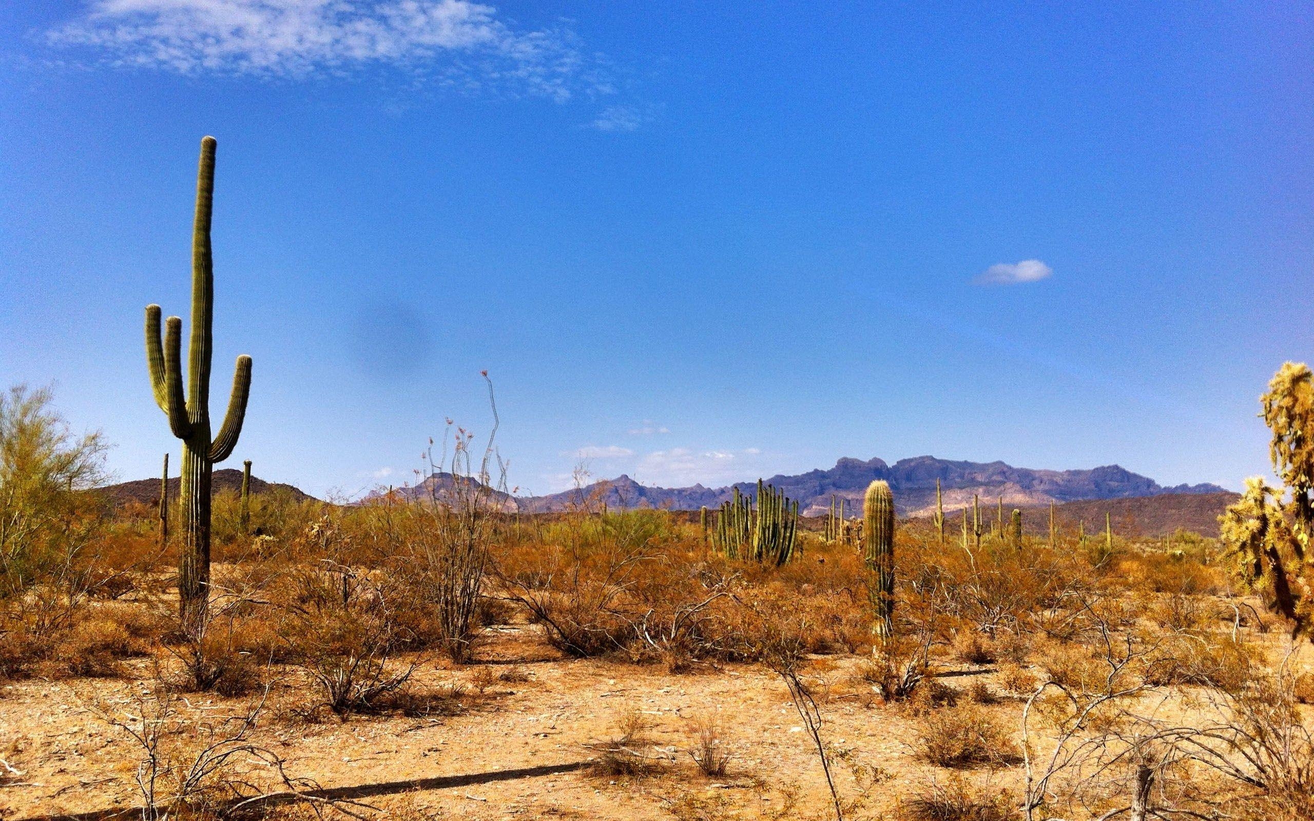 Phoenix, Arizona, Reisen, HD, Hintergrund, 2560x1600 HD Desktop