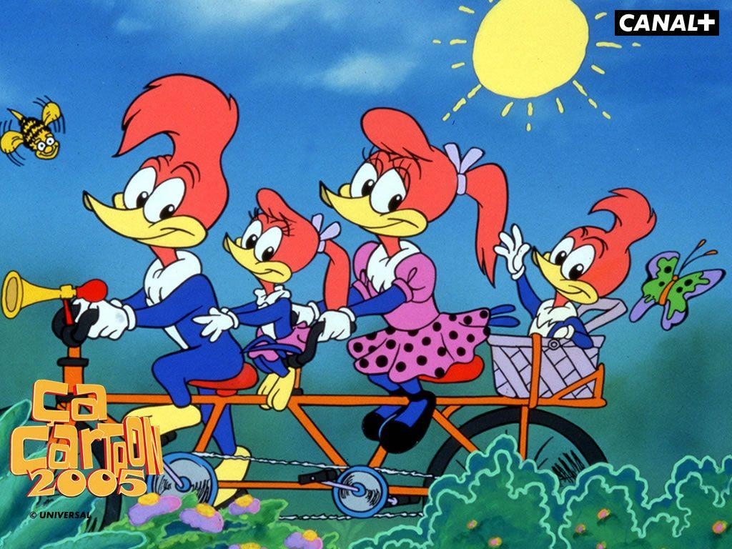 Woody Woodpecker, Animation, Bild, Cartoon, Hintergrund, 1030x770 HD Desktop