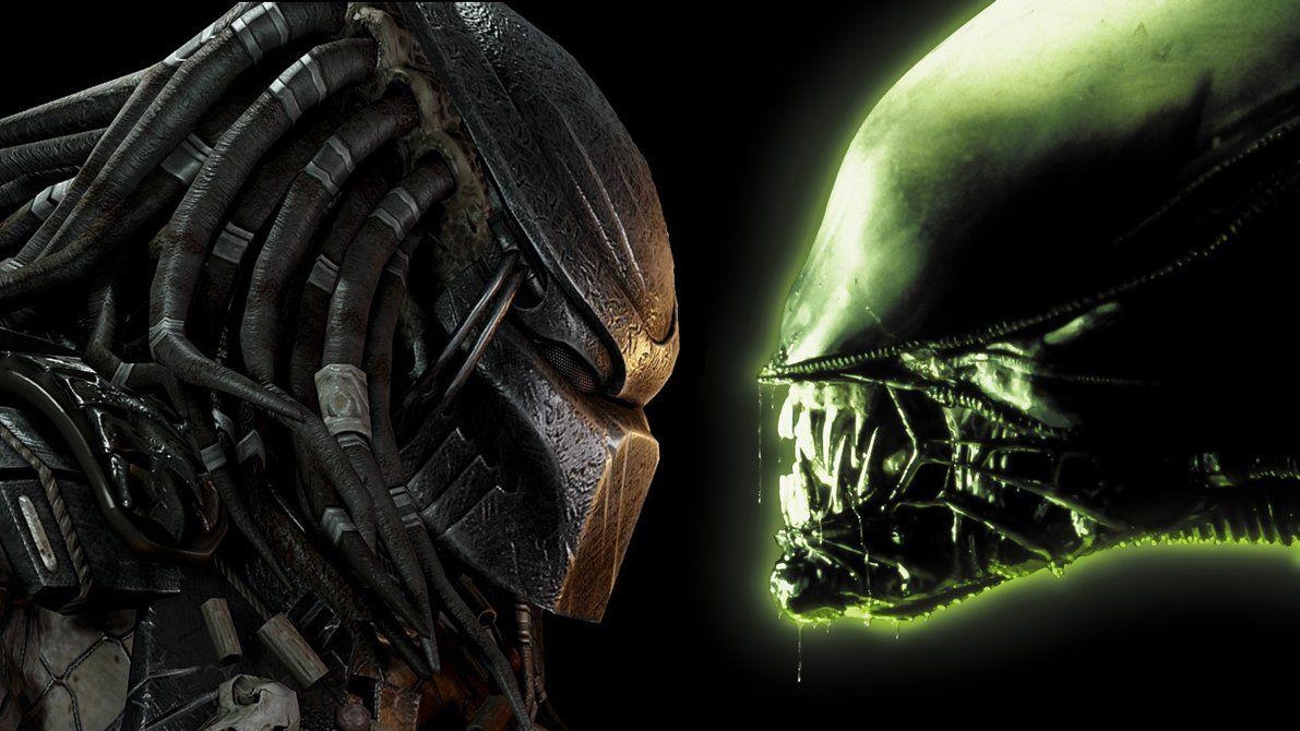 1080p, Alien vs Predator, Kampf, Sci-Fi, HD, 1200x670 HD Desktop