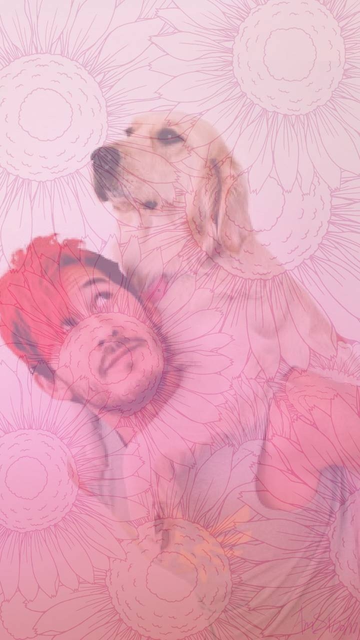 Markiplier, Chica, Wallpaper, Bild, Gaming, 720x1280 HD Handy