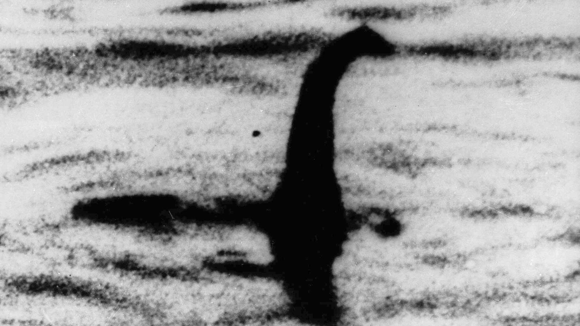 Loch Ness Monster, Mythos, Schottland, Monsterjäger, Suche, 1920x1080 Full HD Desktop