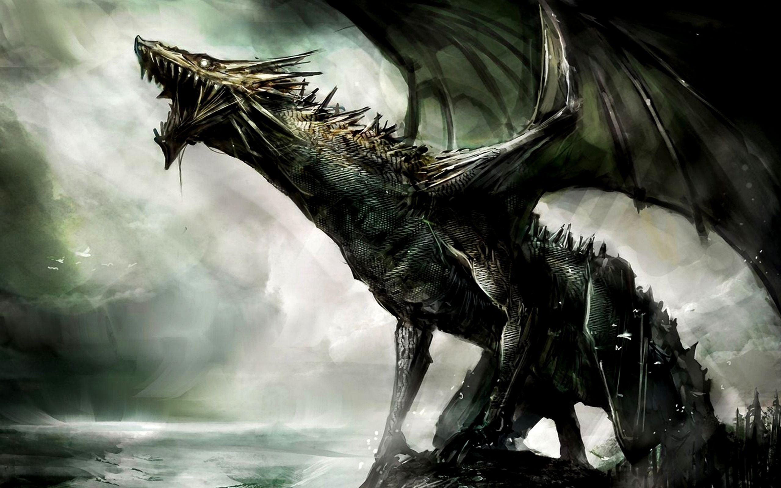 Drache, Wallpaper, HD, Kunst, Fantasy, 2560x1600 HD Desktop