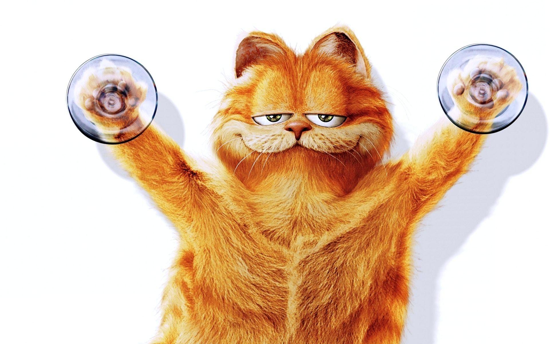 Garfield, Lustig, HD, Desktop, Mobil, 1920x1200 HD Desktop