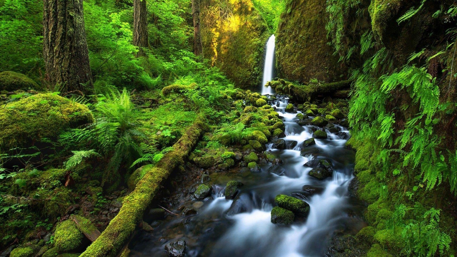 Costa Rica, grün, Natur, Reise, Landschaft, 1920x1080 Full HD Desktop