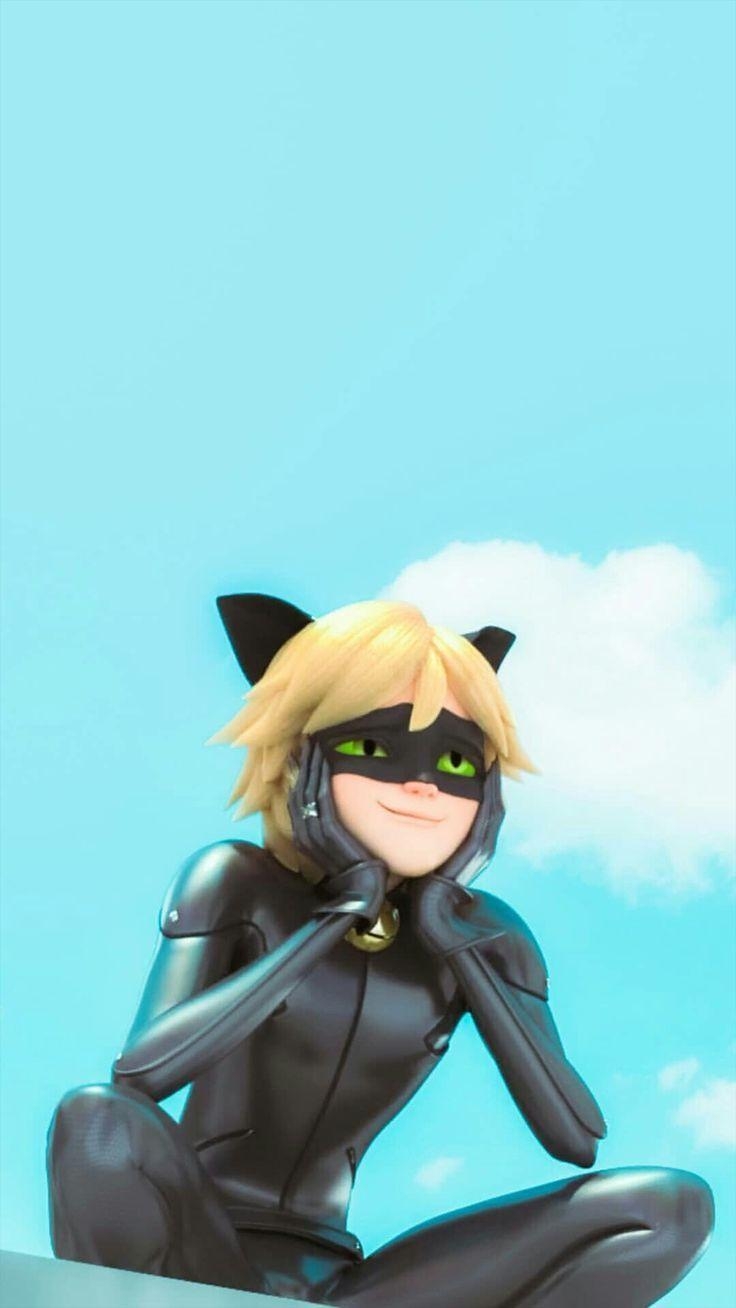 Ladybug, Cat Noir, Welt, Schönheit, Cartoon, 740x1310 HD Handy