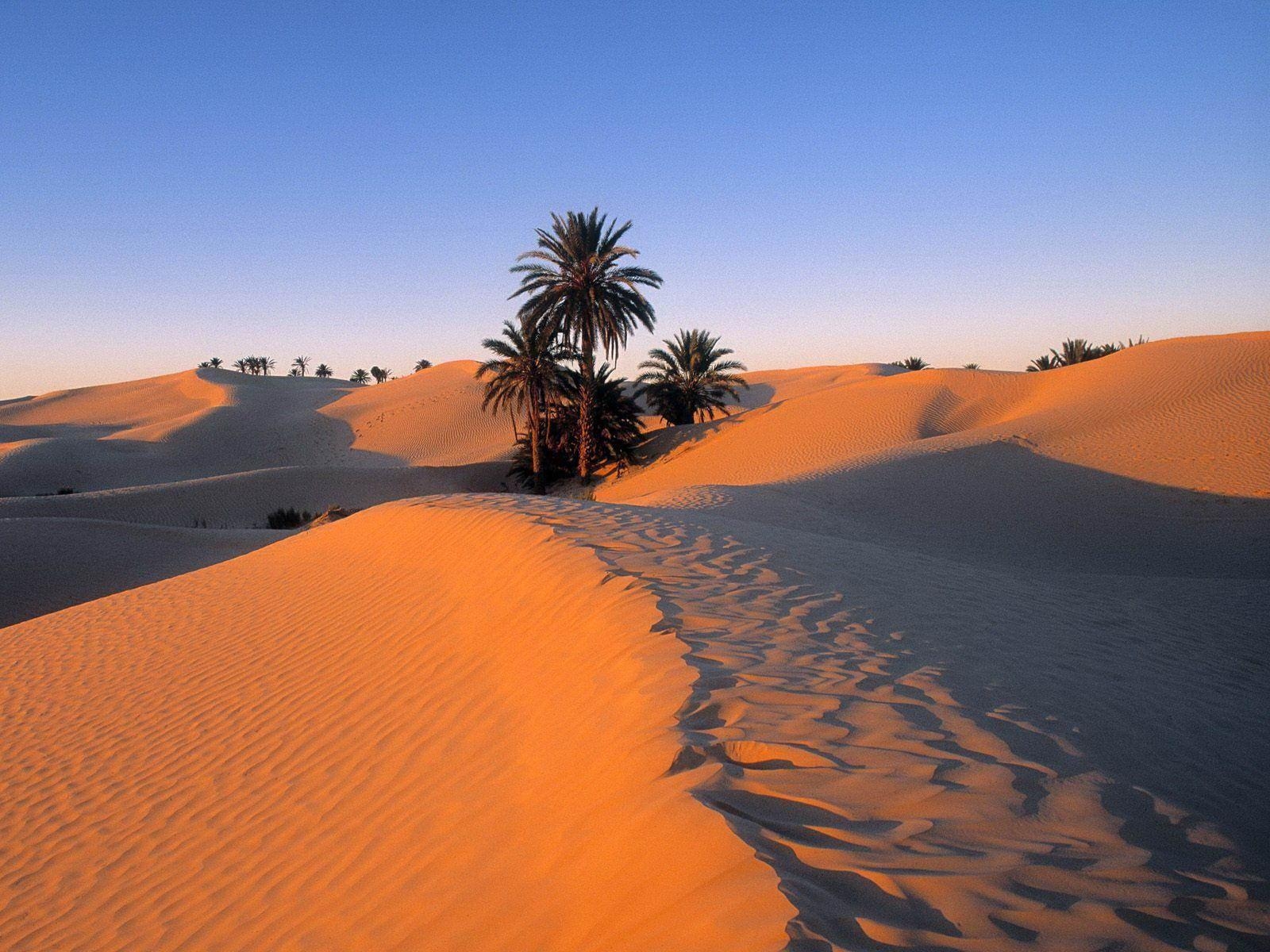 Marokko Wandbild, Exotische Impressionen, Nordafrikanische Küste, Arabische Pracht, 1600x1200 HD Desktop