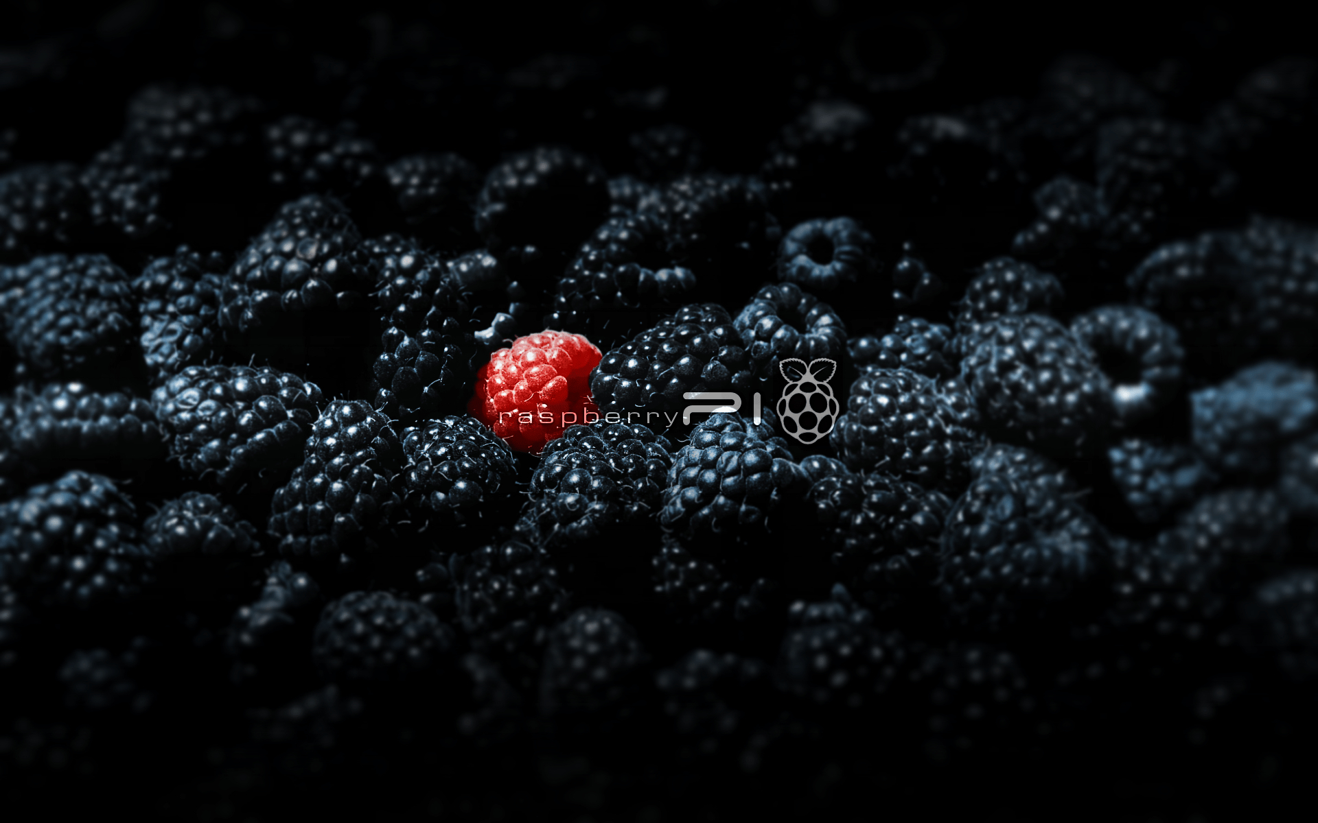 Himbeere, Pi, Thema, Wallpaper, Ersatz, 1920x1200 HD Desktop