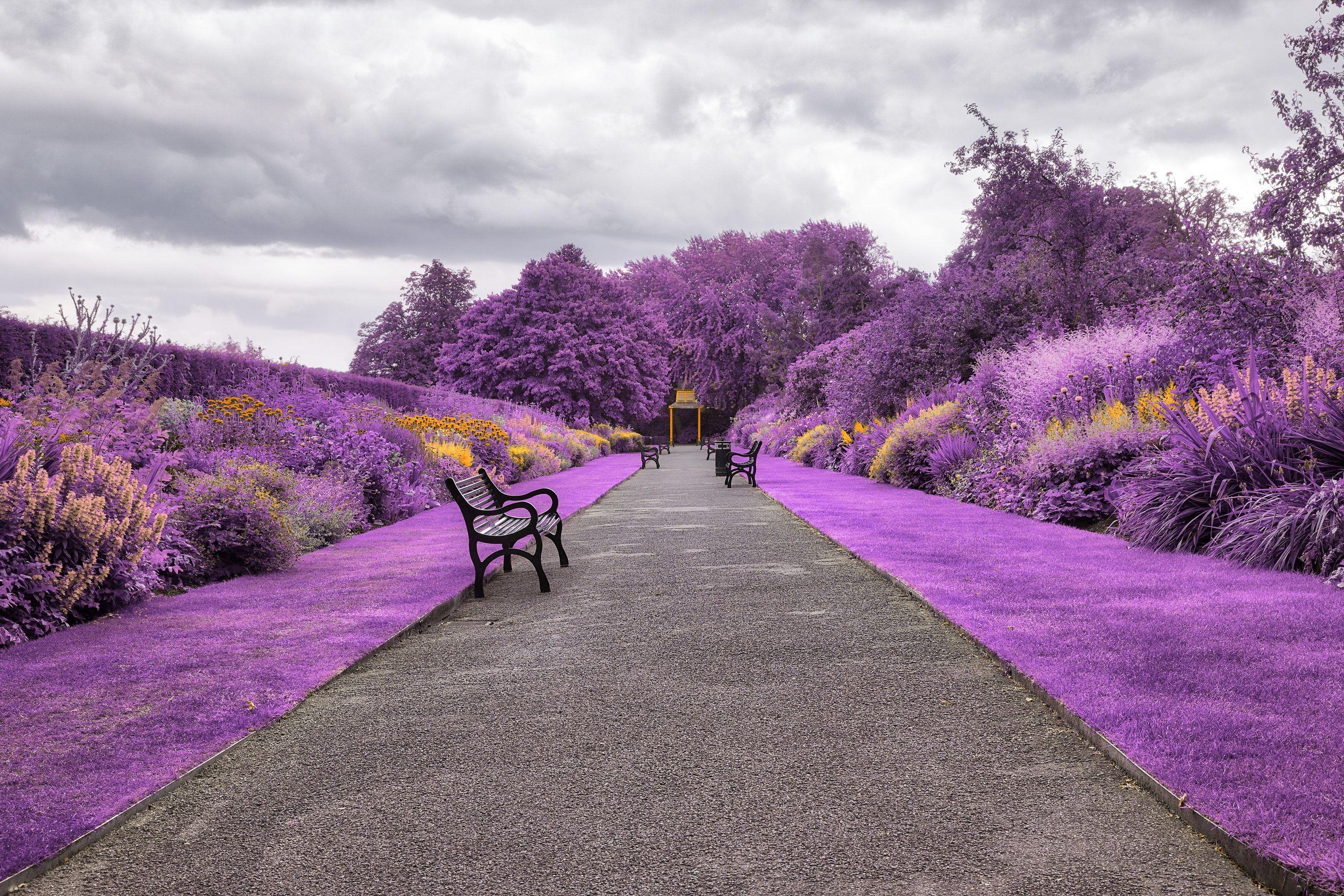 Belfast, Botanischer Garten, Nordirland, Stadt, 4K, 3000x2000 HD Desktop