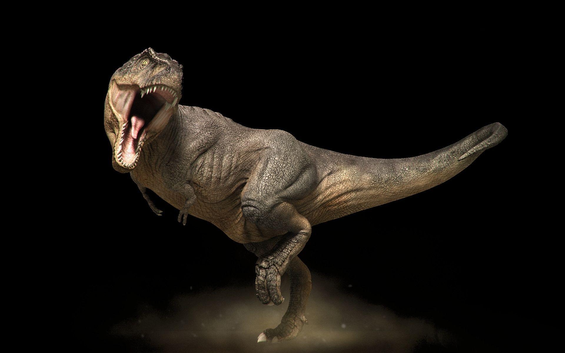 Tyrannosaurus Rex, Dinosaurier, Wallpaper, Urzeit, Tier, 1920x1200 HD Desktop