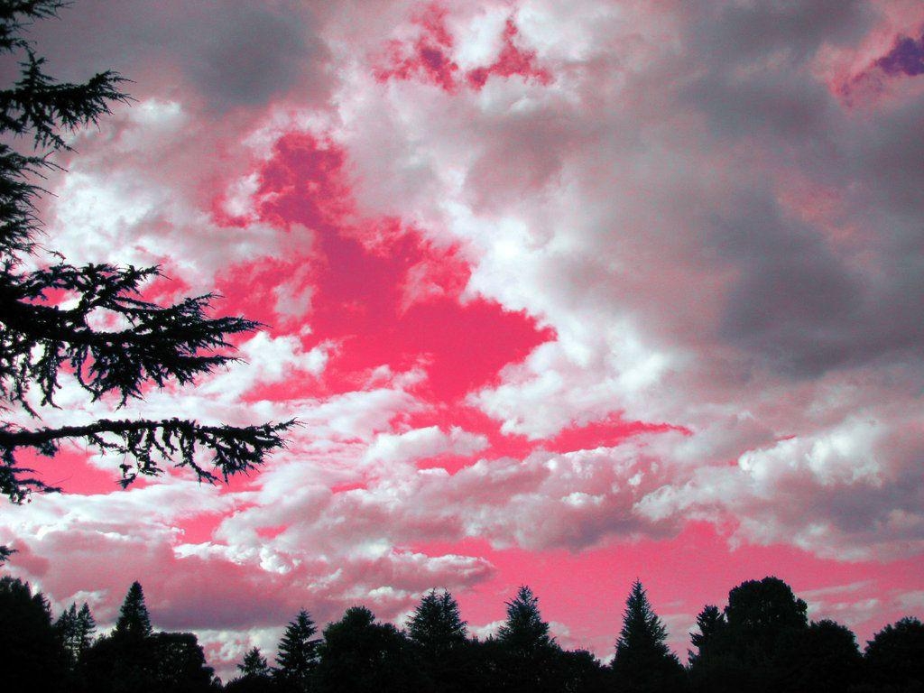 Zuckerwatte Himmel Faerie Engel Fotografie, 1030x770 HD Desktop