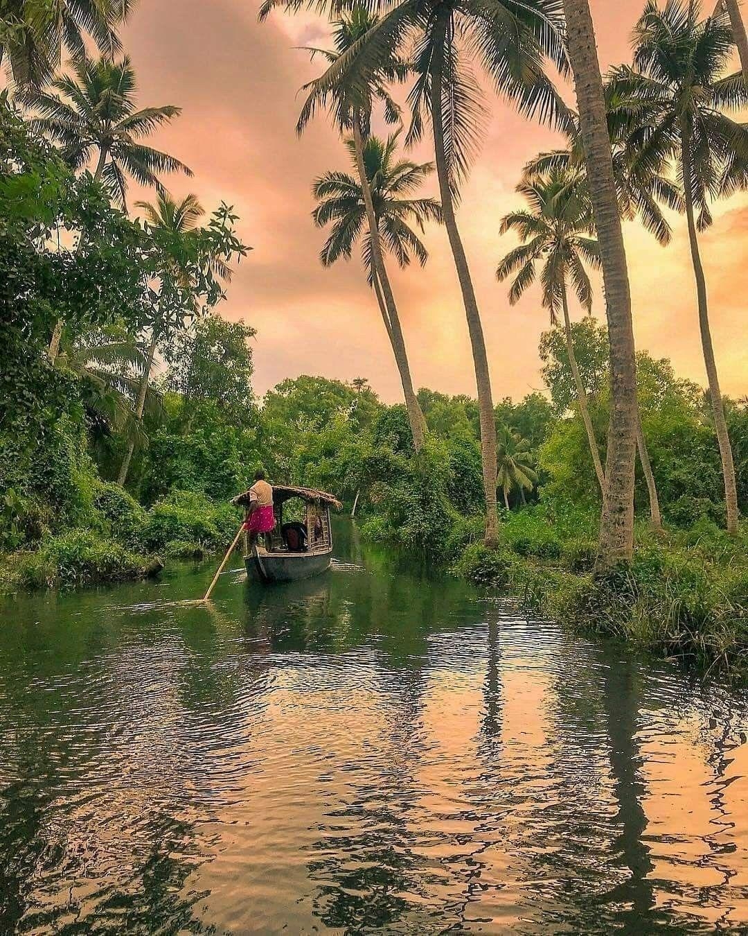 Kerala, iPhone Hintergrund, Indien, Natur, Küstenlandschaften, 1080x1350 HD Handy