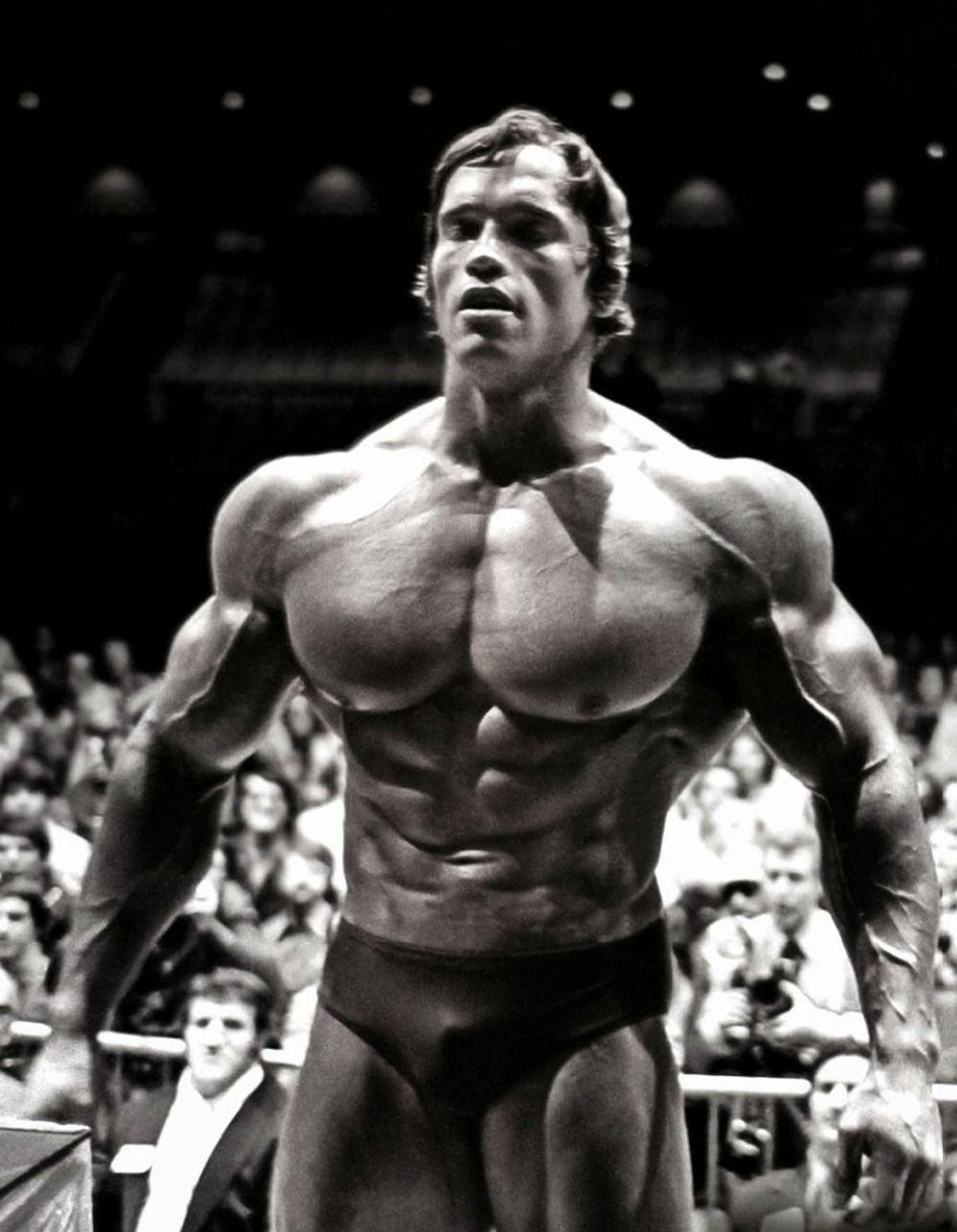 Arnold Schwarzenegger, HD, Galerie, Schauspieler, Hintergrund, 1000x1290 HD Handy