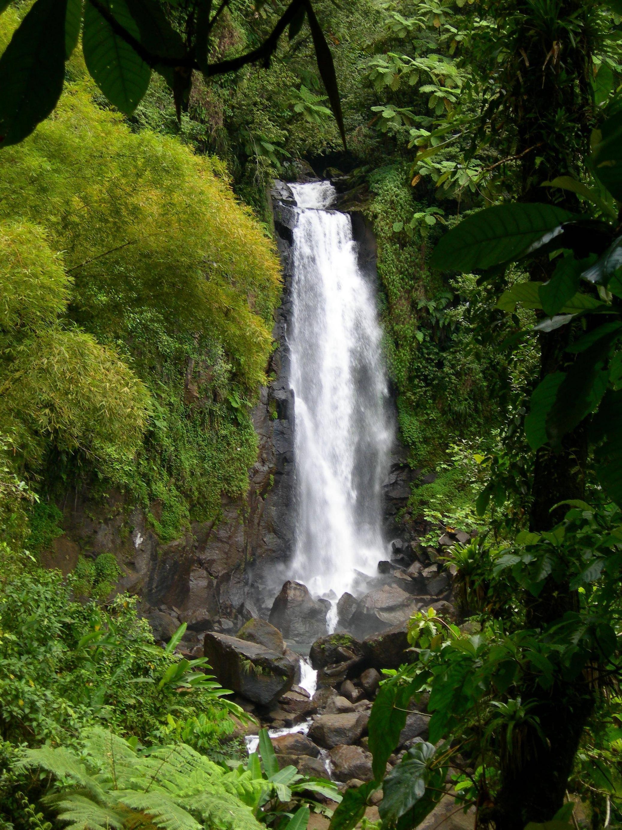 Dominica, Bild, Karibik, Landschaft, Reise, 2080x2770 HD Handy