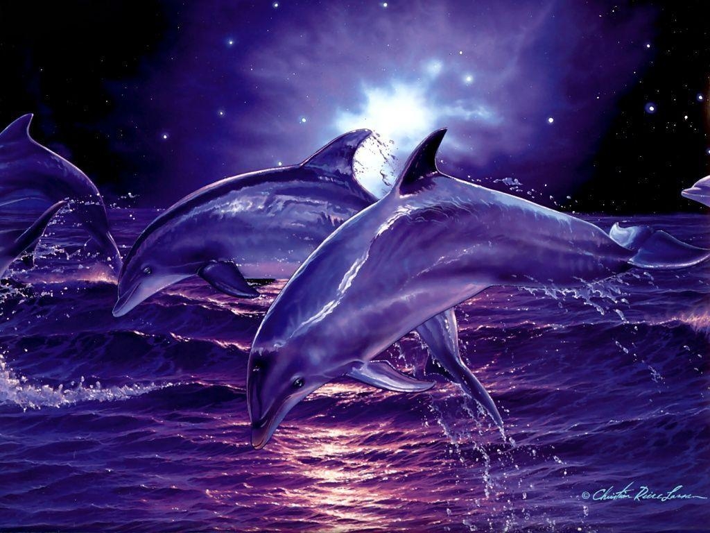 Delphin, 3D Desktop, Tiere, Meer, Hintergrundbild, 1030x770 HD Desktop