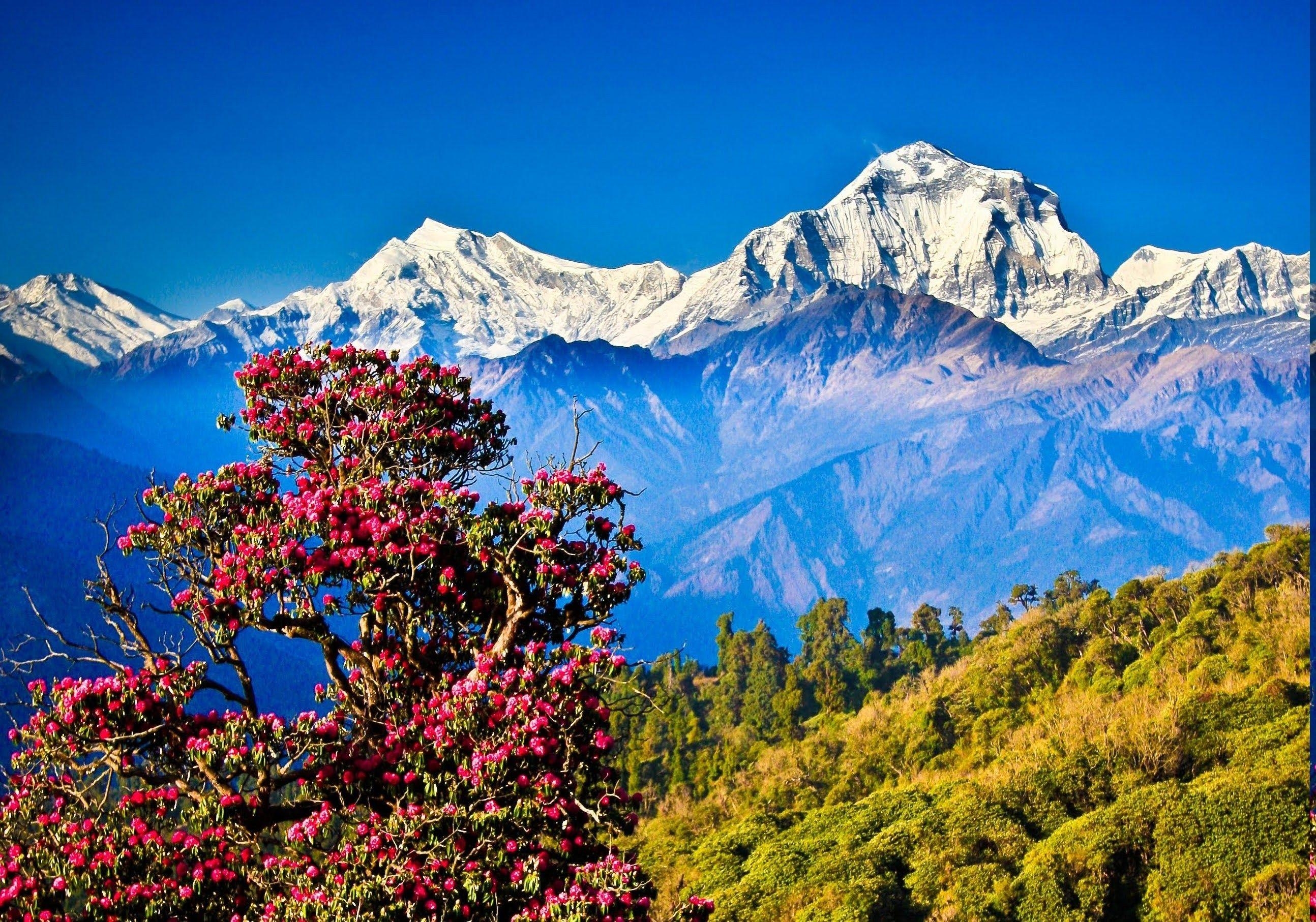 Himalayas, Berglandschaft, Natur, wunderschön, Hintergrund, 2590x1820 HD Desktop