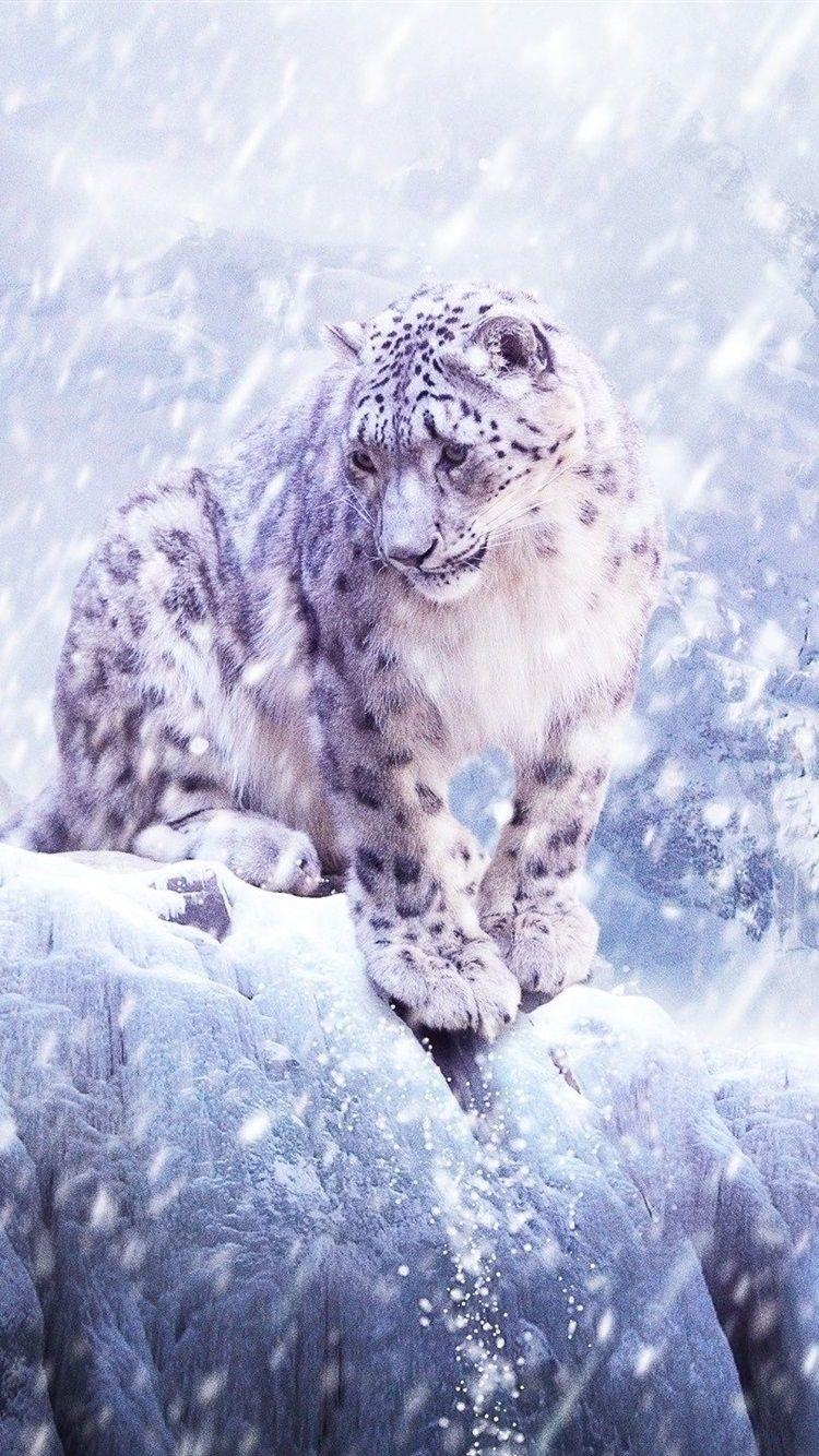 Schneeleopard, Blizzard, Winter, iPhone Bilder, Tiere, 750x1340 HD Handy