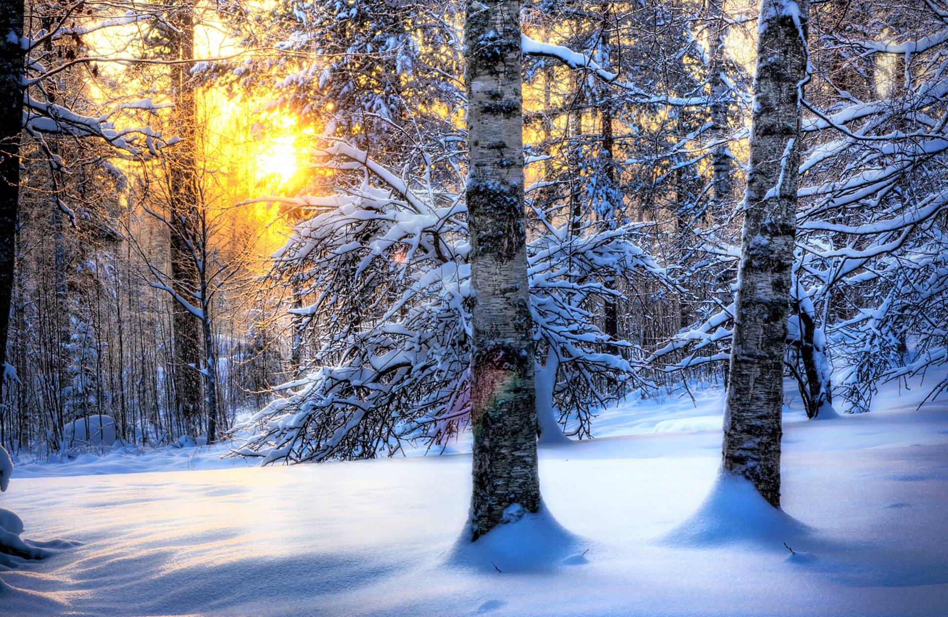 Winter, Natur, Kostenlos, HD, Schneeflocken, 1920x1250 HD Desktop