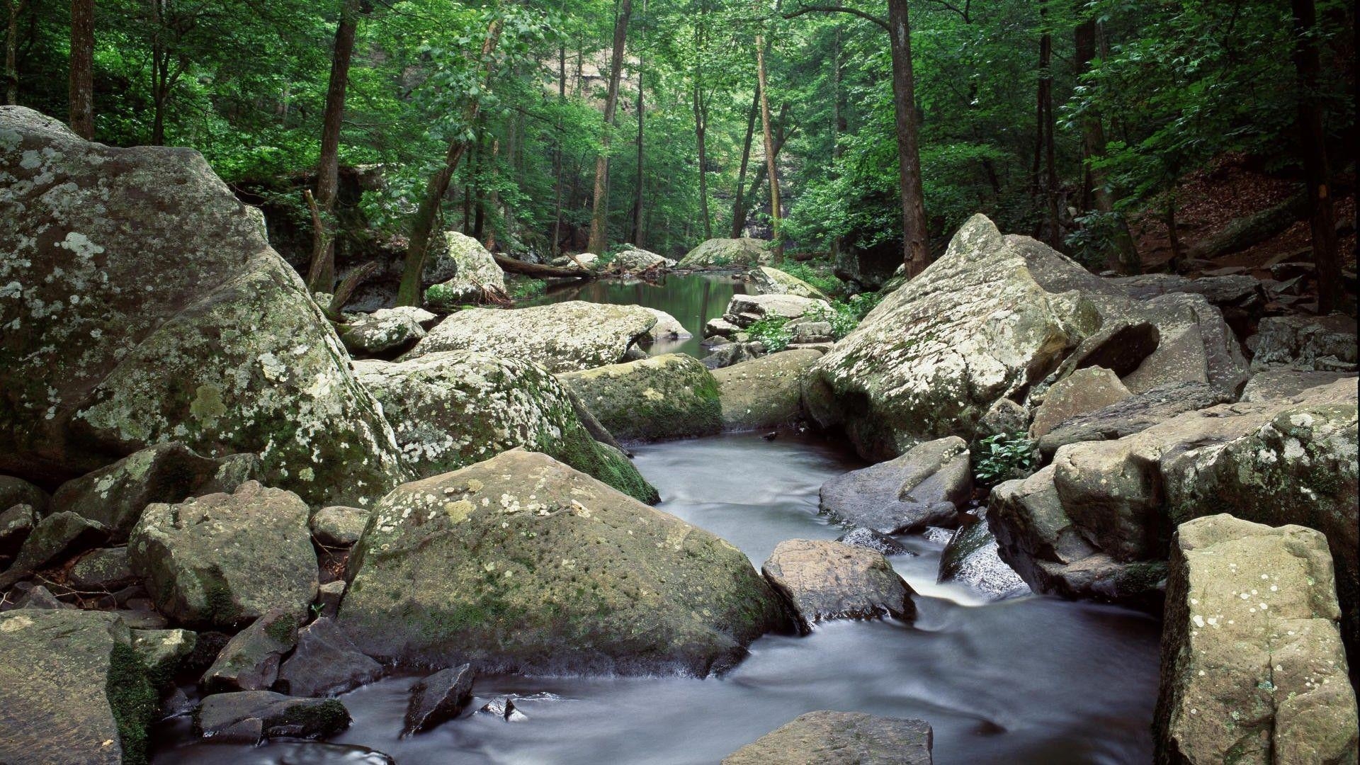 Arkansas Seen, Natur, Landschaft, USA, Wandern, 1920x1080 Full HD Desktop