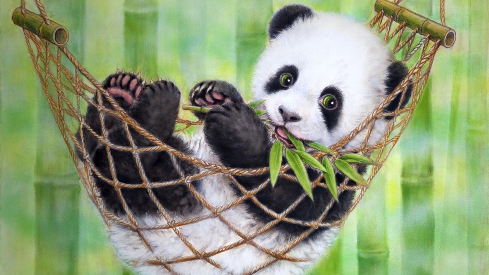 Niedliches Panda, Charmant, Tierwelt, HD, Hintergrund, 1600x900 HD Desktop