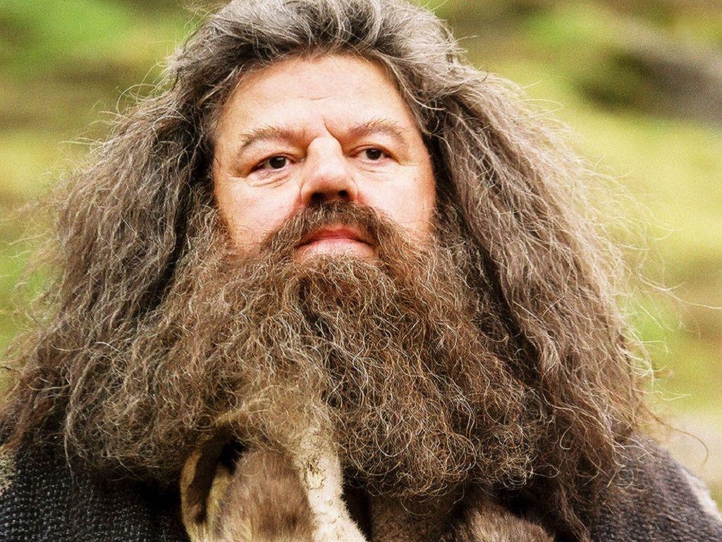 Hagrid, Harry Potter, Magier, Charakterbild, Abenteuer, 1030x770 HD Desktop