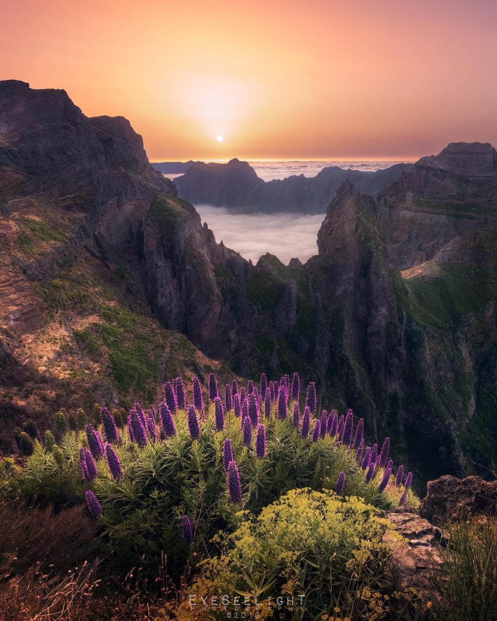 Über den Wolken, Sonnenuntergang, Madeira, spektakulär, Dracarys, 1030x1280 HD Handy