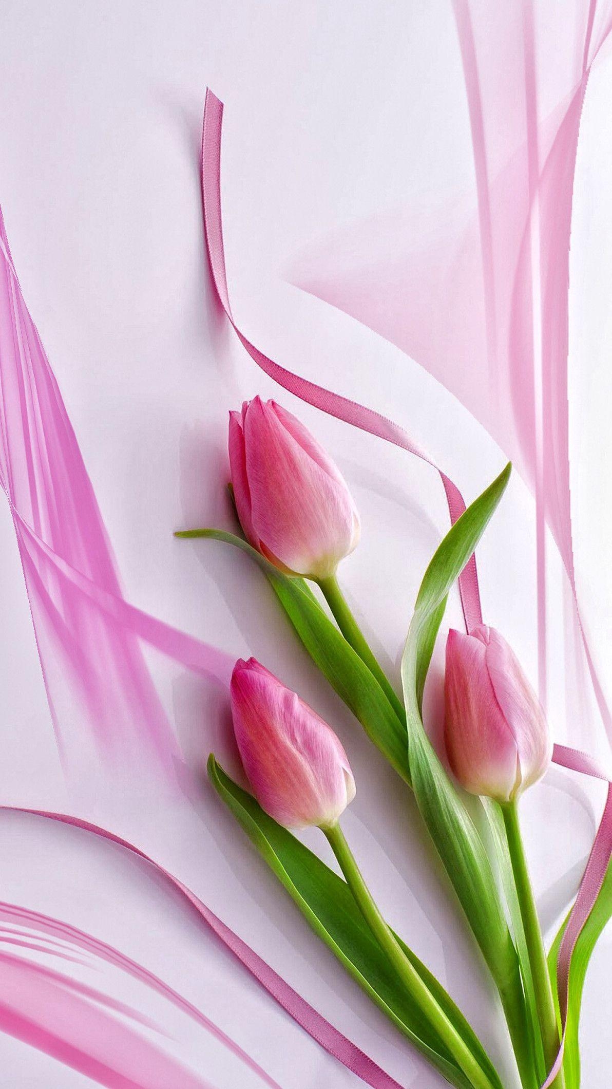 Tulpe Natur, rosa, Frühlingsblumen, Hintergrund, Inspiration, 1200x2120 HD Handy