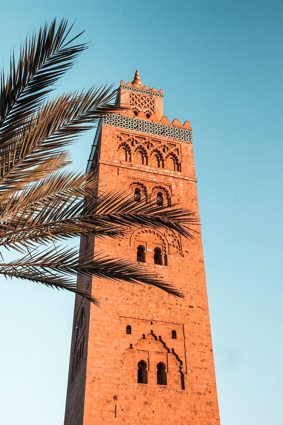 Marrakesch, Marokko, Koutoubia Moschee, Palme, HD, 910x1370 HD Handy