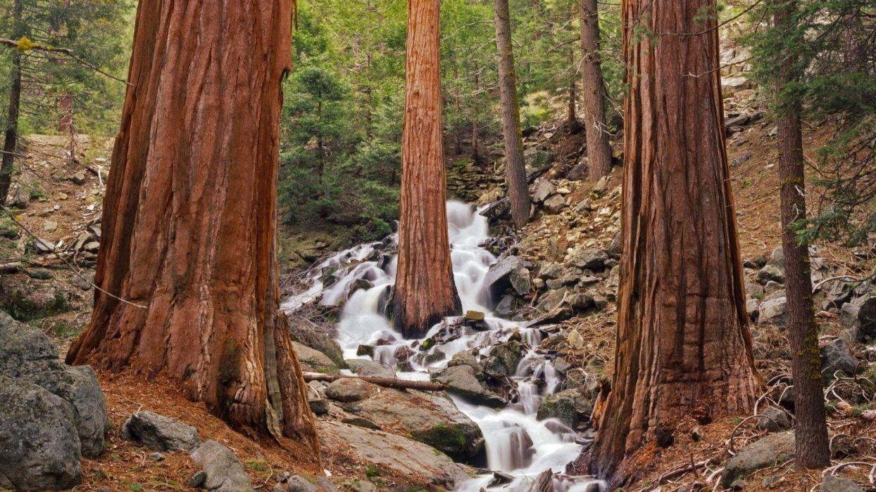 Kalifornien, Wasserfälle, Nationalpark, Landschaft, Natur, 1250x700 HD Desktop