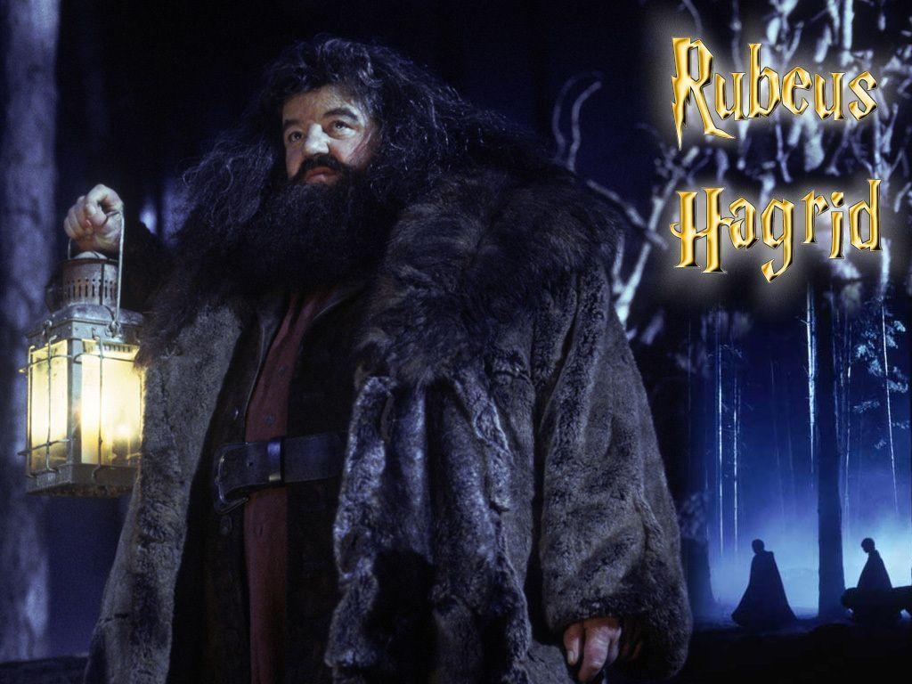 Hagrid, Hintergrund, Filme, Zauberer, Hogwarts, 1030x770 HD Desktop