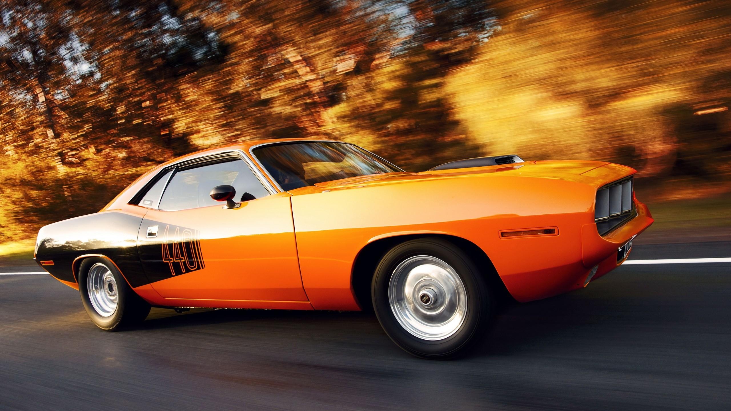 Plymouth Barracuda, Cuda, HD Bild, 2560x1440 HD Desktop