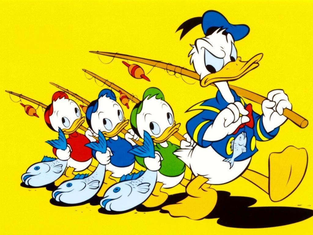 Donald Duck, HD, iPad, Ente, Zeichentrick, 1030x770 HD Desktop