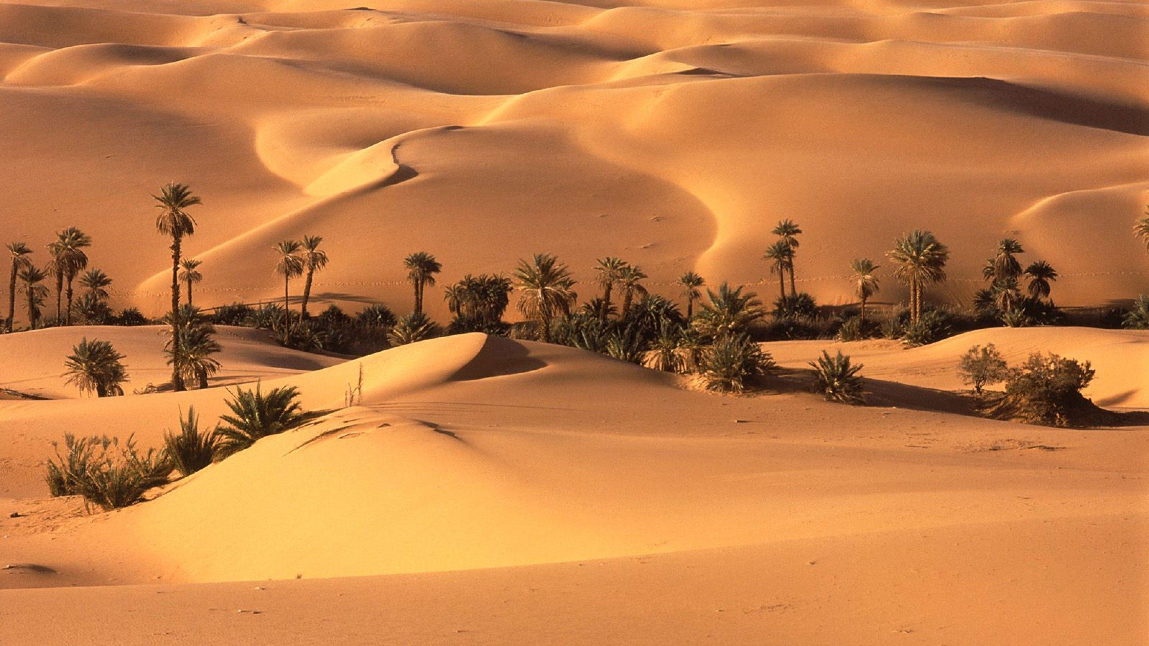 Schöne Sahara, Wüste, Nordafrika, Landschaft, Natur, 3840x2160 4K Desktop