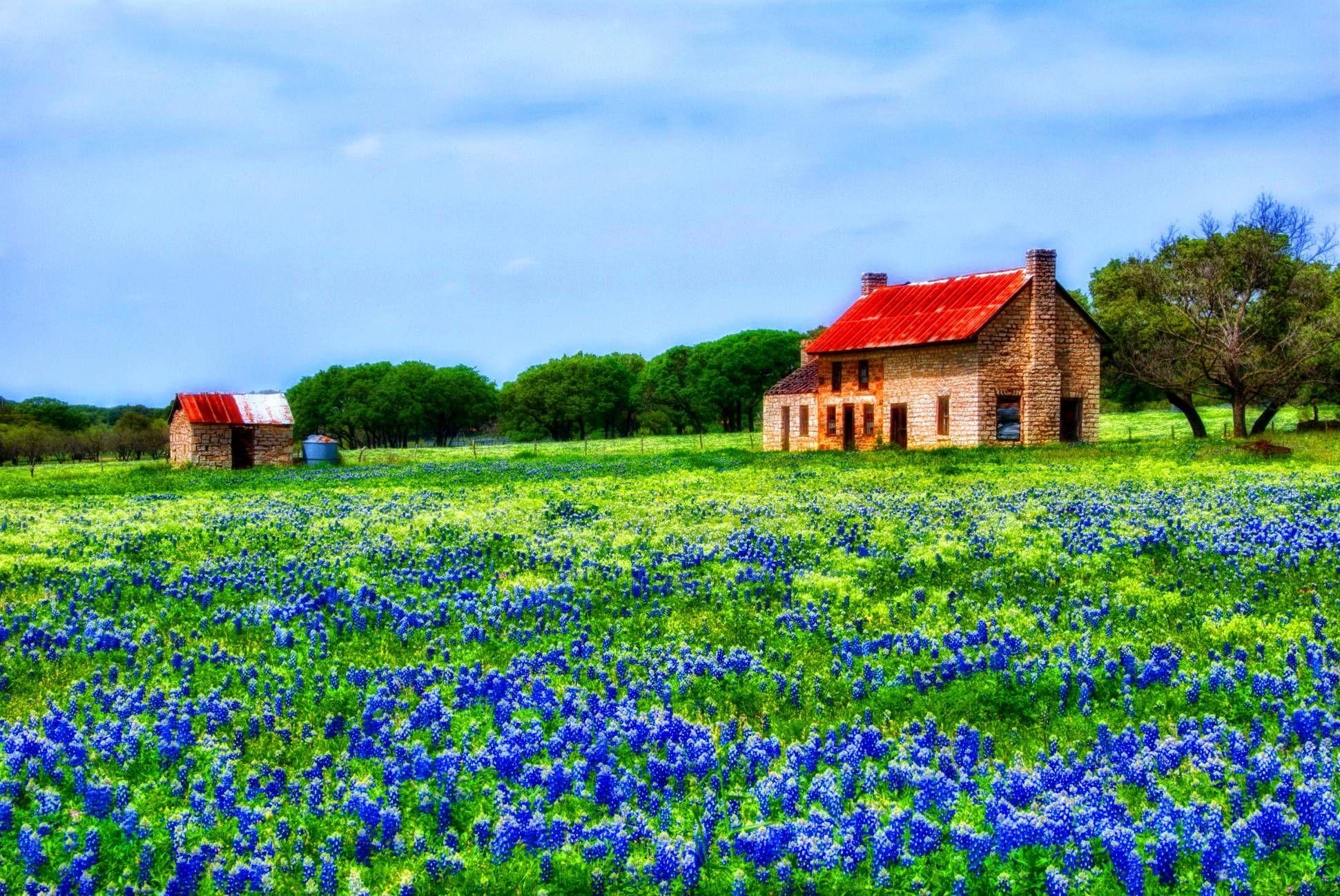 Texas Hill Country, Landschaft, USA, Reisen, Natur, 1950x1300 HD Desktop