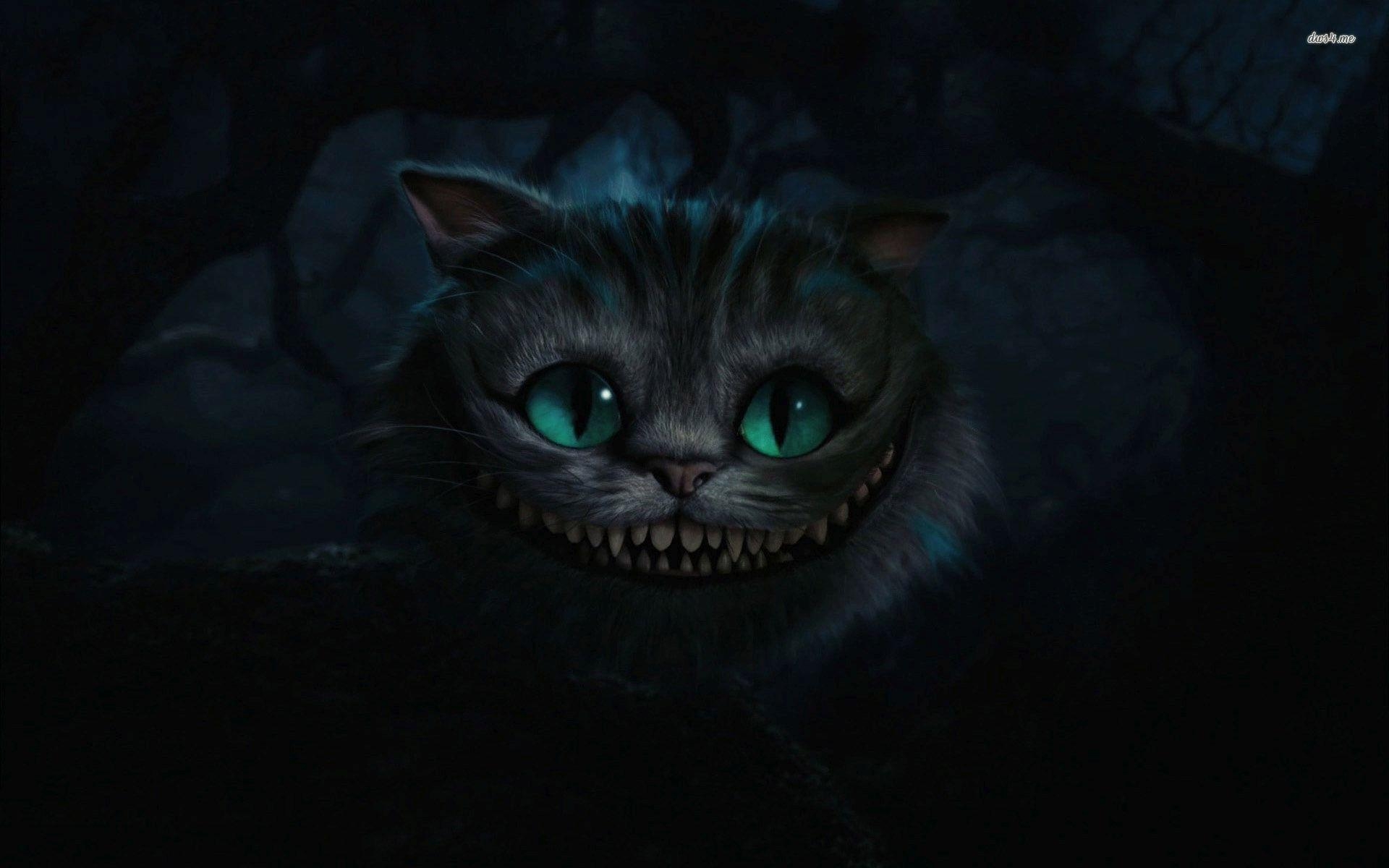 Cheshire Cat, Cartoon, Grinsekatze, Alice, Wunderland, 1920x1200 HD Desktop