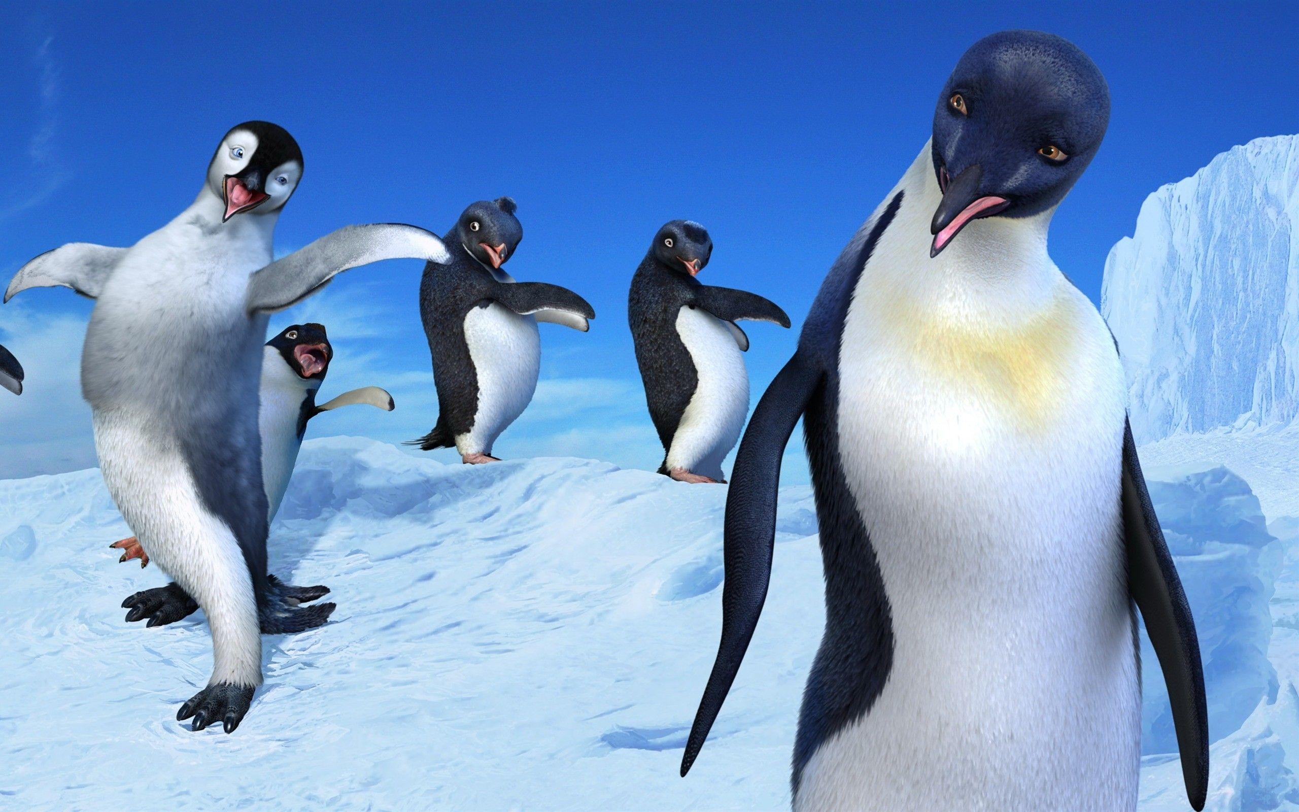 Happy Feet, Cartoon, humorvoll, Animation, Tiere, 2560x1600 HD Desktop