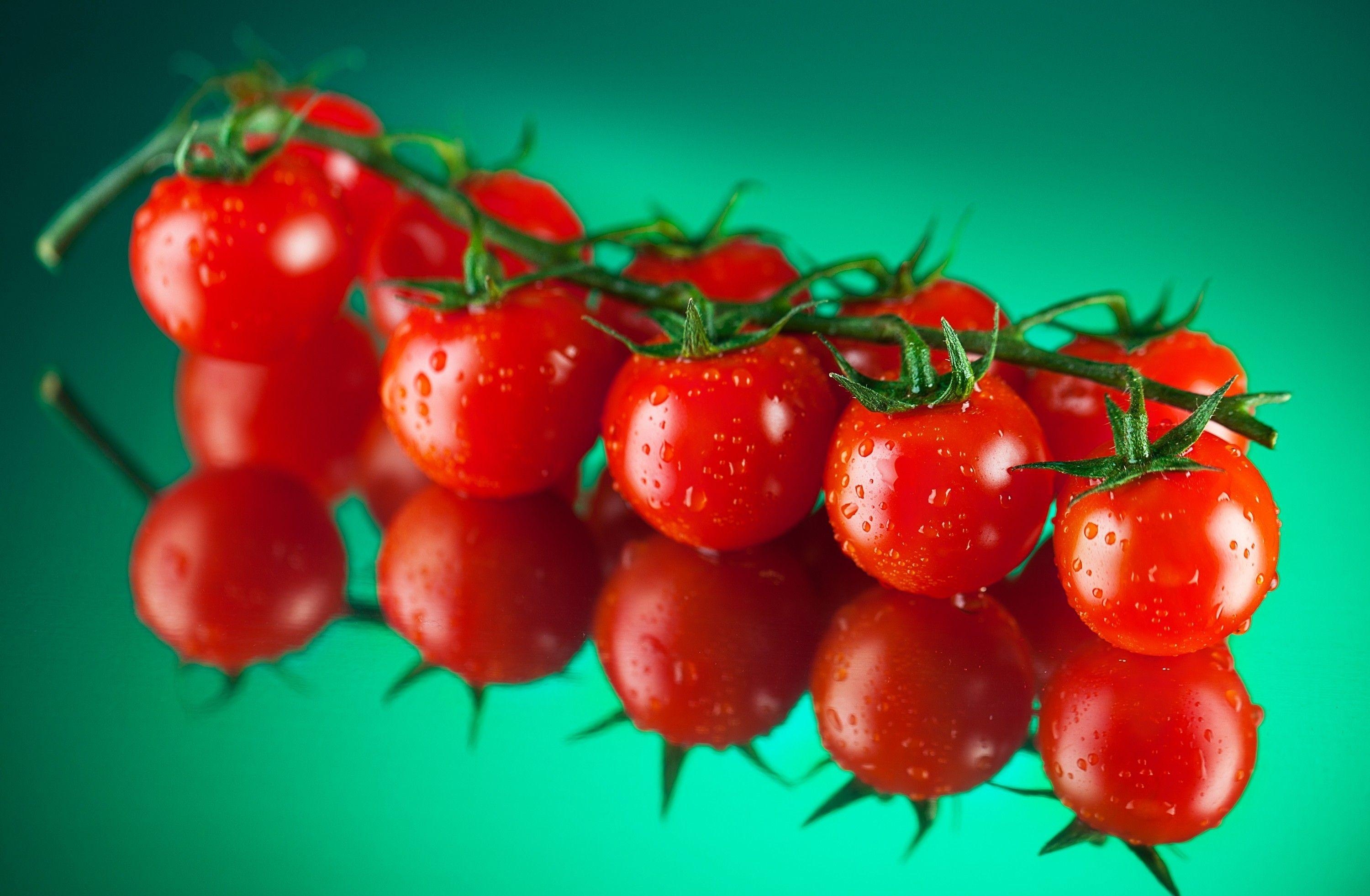 Tomate, Lebensmittel, HD Bild, Frische, Gemüse, 3000x1970 HD Desktop