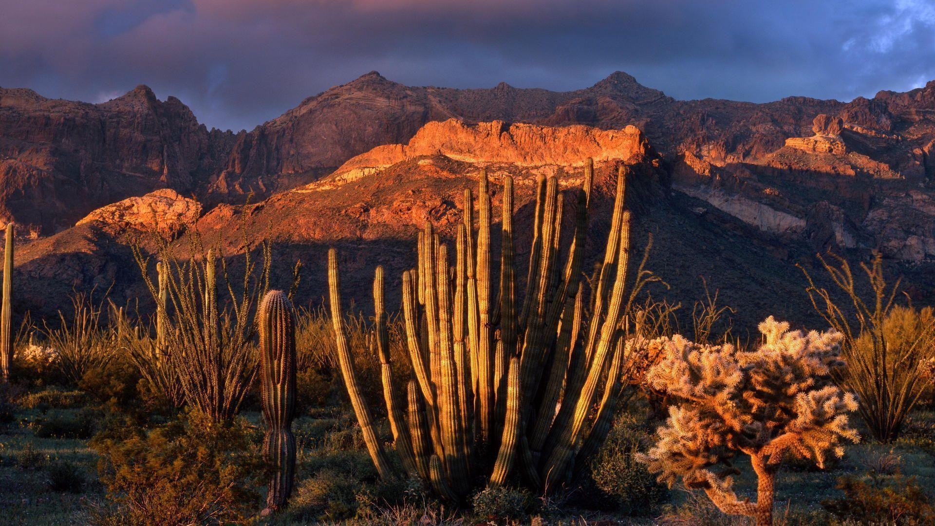 Phoenix, Arizona, Landschaft, Westküste, USA, 1920x1080 Full HD Desktop