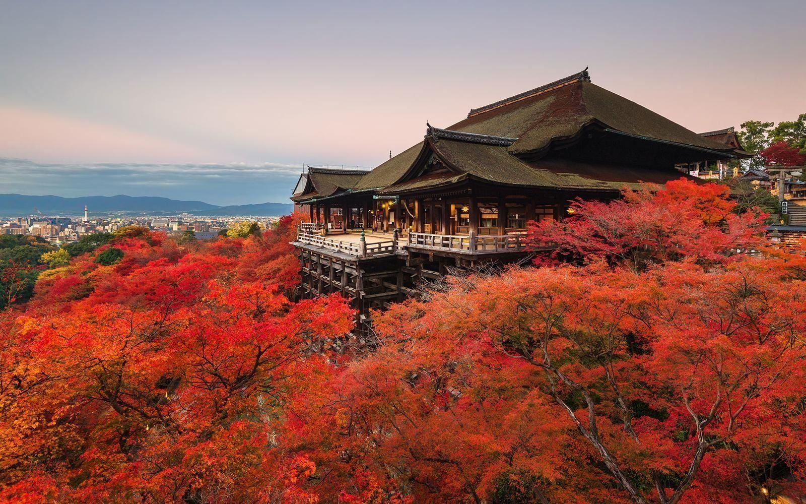 Kyoto, Vietnam, Urlaubsort, Reisen, 1000x, 1600x1000 HD Desktop