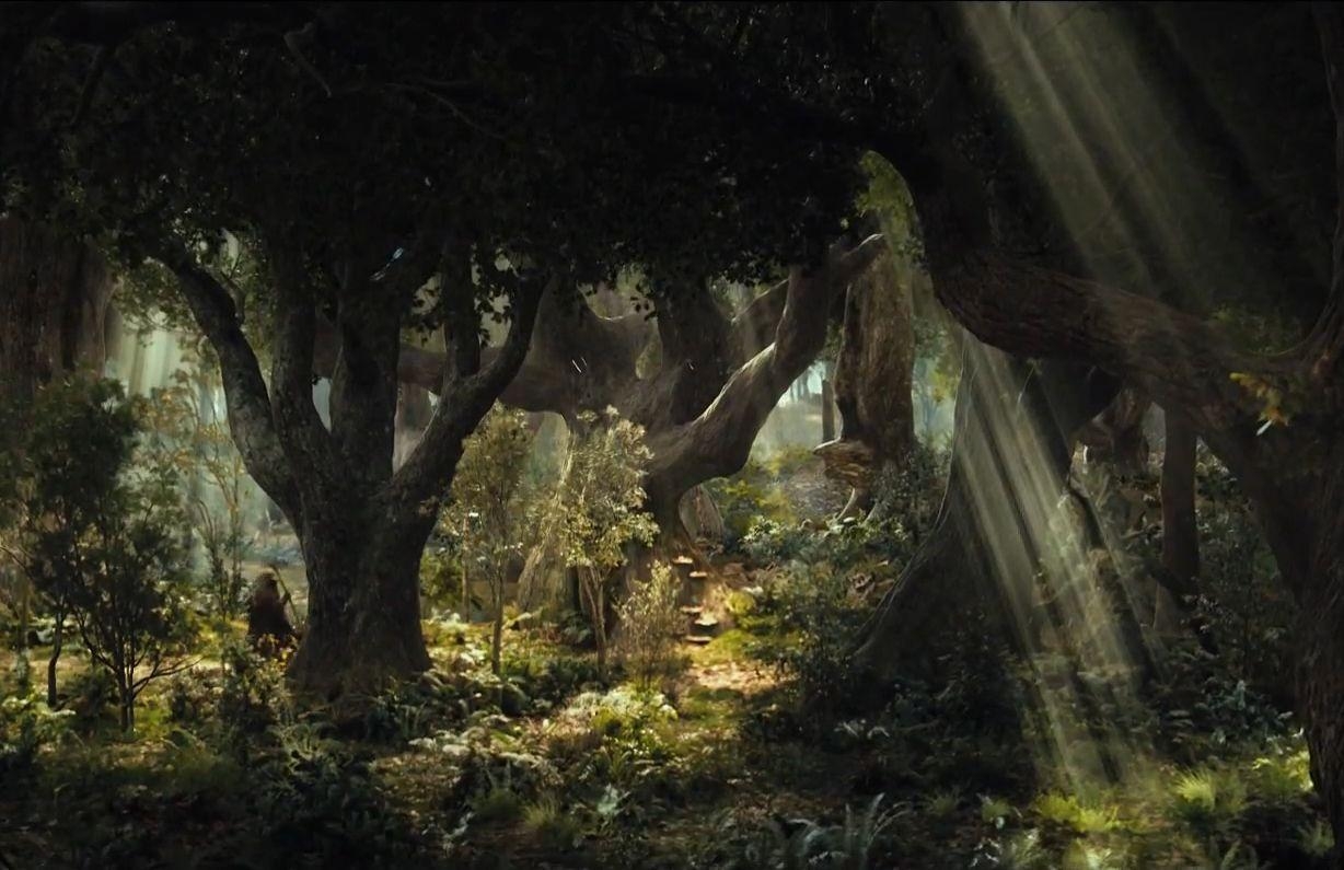 Fangorn, Wald, Mirkwood, Fantasy, Tolkien, 1230x800 HD Desktop