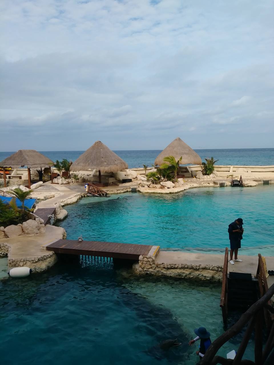 Cozumel Landschaft, Urlaub, Naturfotografie, Mexiko, Paradies, 960x1280 HD Handy