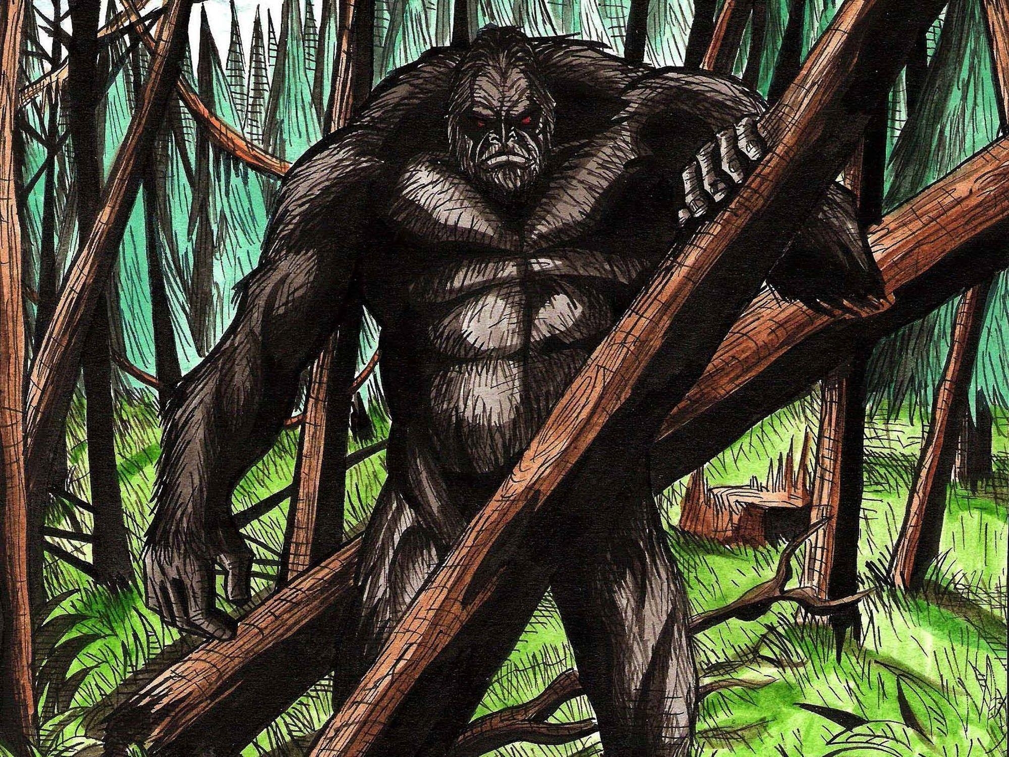 Bigfoot, Monsterlegende, Hochauflösend, Wald, Sasquatch, 2000x1500 HD Desktop