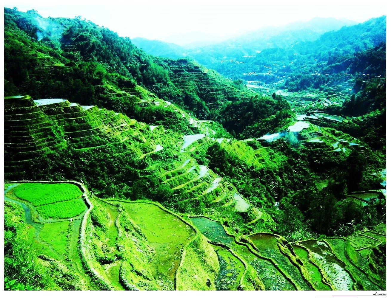 Philippinen, Banaue, Reisterrassen, Reisen, Natur, 1310x1000 HD Desktop