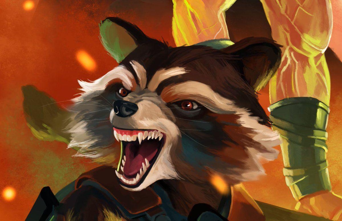 Rocket Raccoon, Computer Hintergrund, Marvel, Waschbär, Avengers, 1200x780 HD Desktop