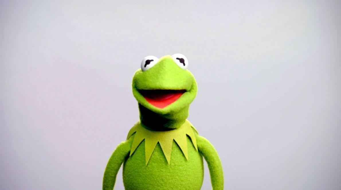 Kermit der Frosch, Muppets, Wallpaper, Frosch, Hintergrund, 1190x670 HD Desktop