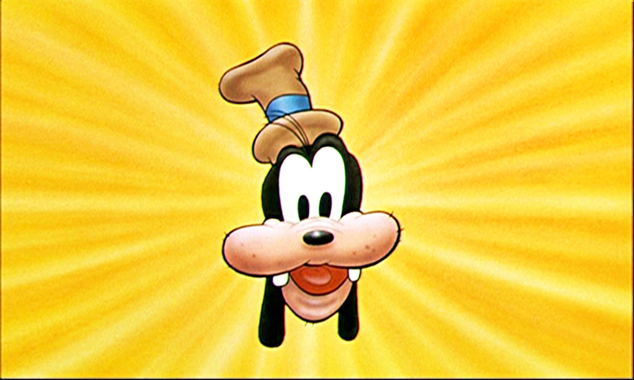 Goofy, HD, Animation, Zeichentrick, Disney, 2560x1540 HD Desktop