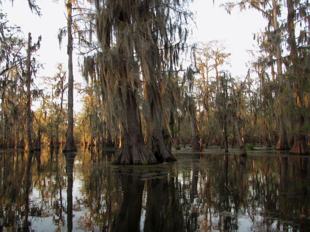 Louisiana, 4K, Desktop, Mobil, USA, 1030x770 HD Desktop